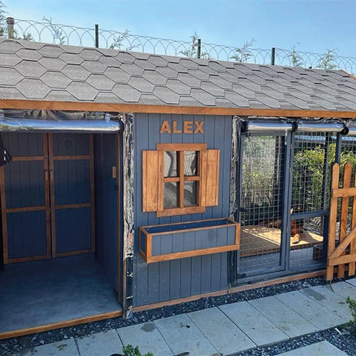 Alex Ahşap Köpek Kulubesi
