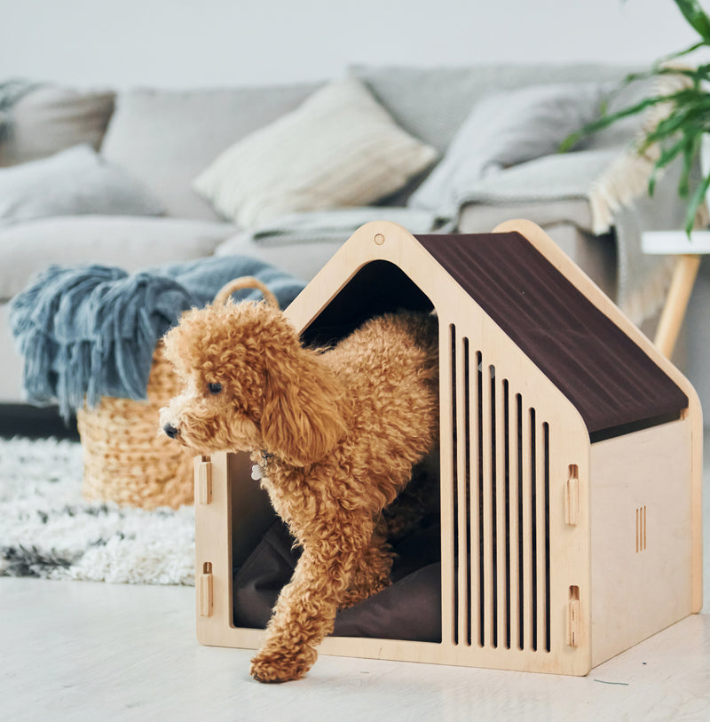 How to Maintain a Dog House?