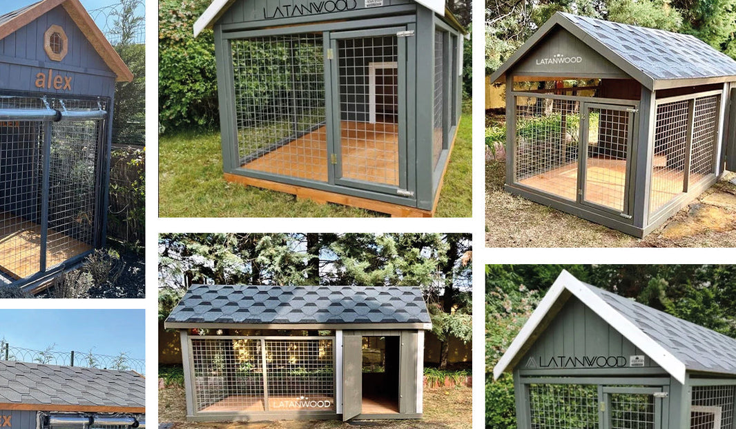 İstanbul Ahşap Köpek Kulubesi