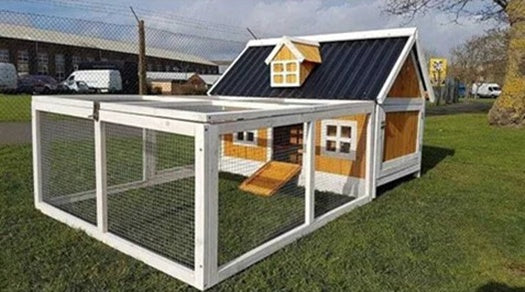 Kennel Designs That Reflect Your Dogs' Personality