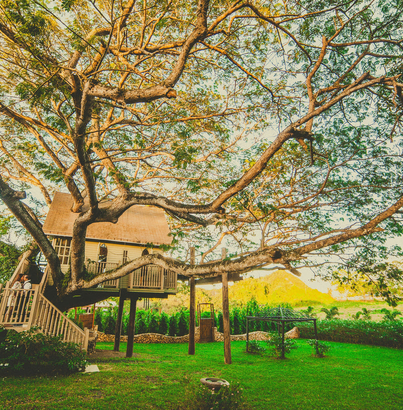 Dreamy Playgrounds for Kids: Wooden Playhouses