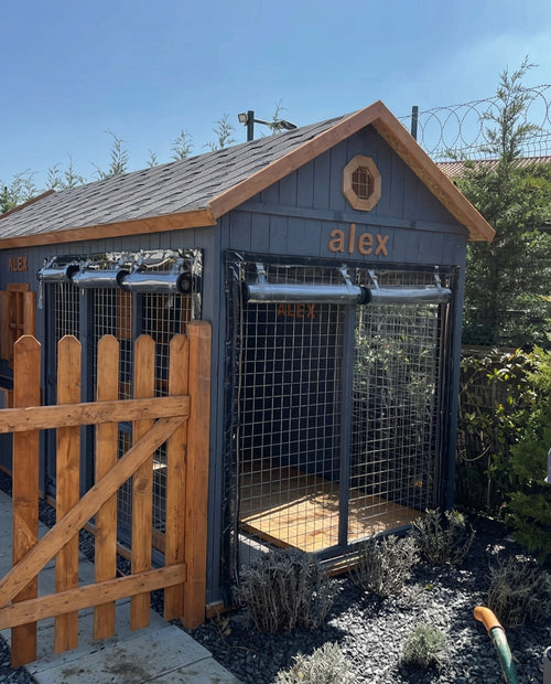 Alex Ahşap Köpek Kulübesi