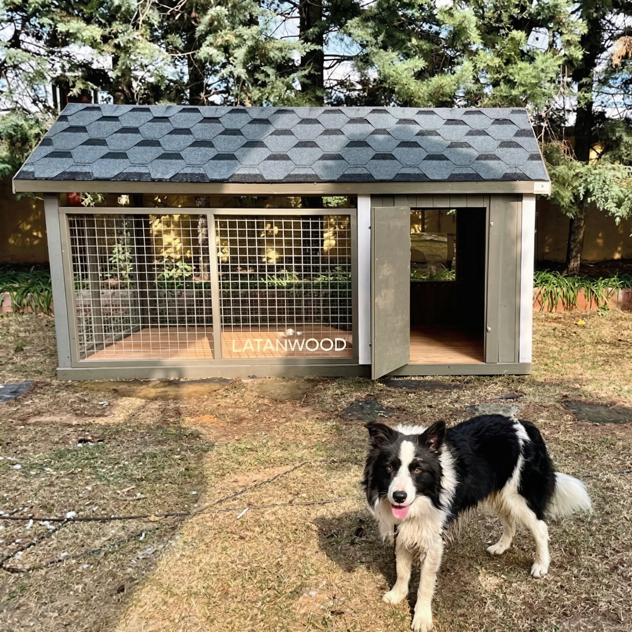 Boxy Ahşap Köpek Kulübesi