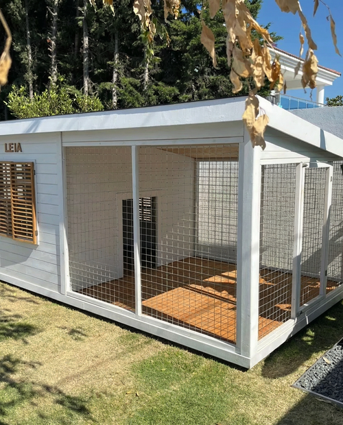 Leia Ahşap Köpek Kulübesi