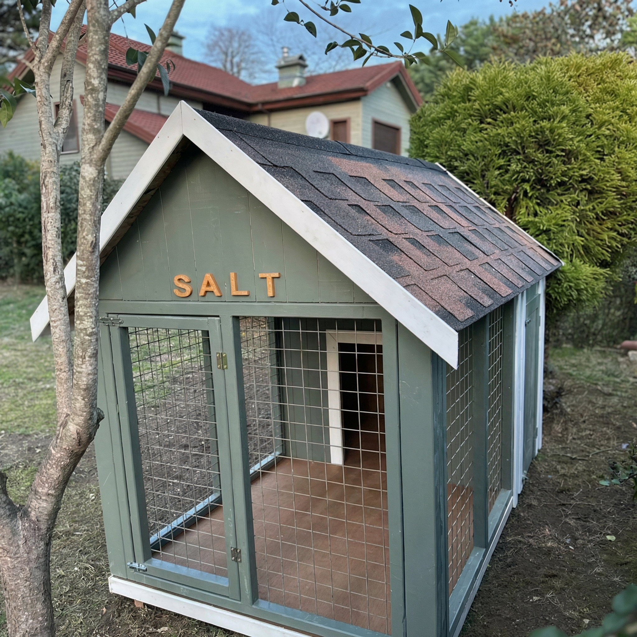 Smartest Wooden Dog House