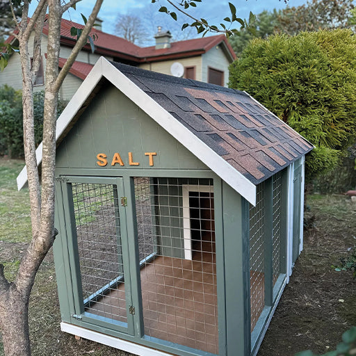 Die intelligenteste Holzhütte
